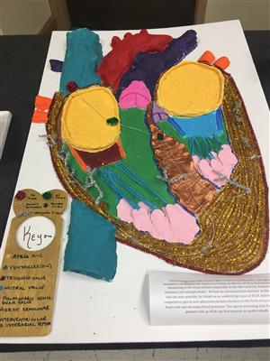 Heart Model Heart Model